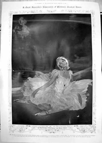 Old print mort cygne - old,