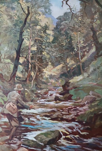 Fly fishing devon stream - fly, a