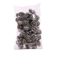 Pine Cones Austriaca Cones 1kg