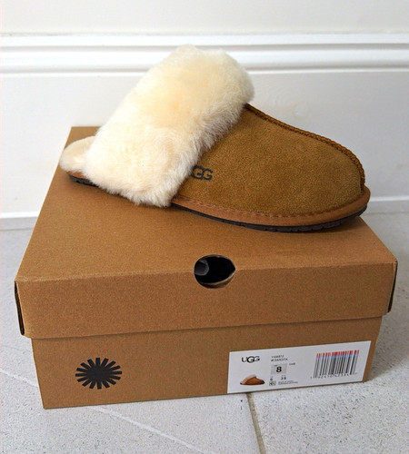 Ugg dakota women - women’s, suede
