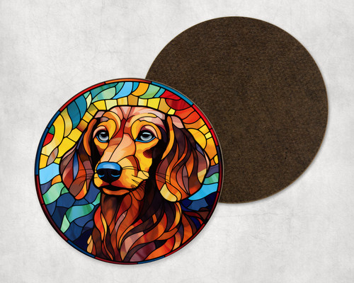 Beautiful dachshund dog - beautiful,