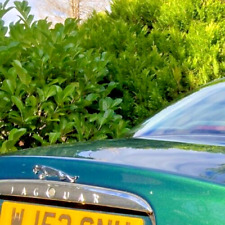 JAGUAR S-TYPE BOOT LID