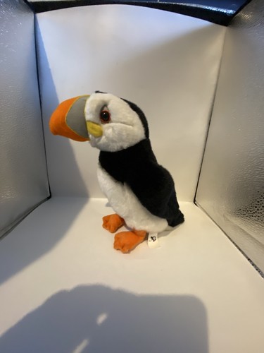 Rare sawley fine - sawley, puffin