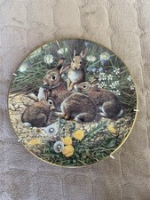 Royal Doulton-Fine Bone China Plate-British Wildlife-Family Outing-Adrian Rigby