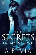 The Secrets in My Scowl by Via, A.E. | Book | condition very good