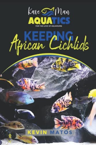 Keeping african cichlids - keeping,