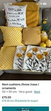 Next Cushions And Accessories 