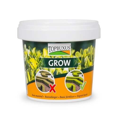 Professional boxwood - professional,