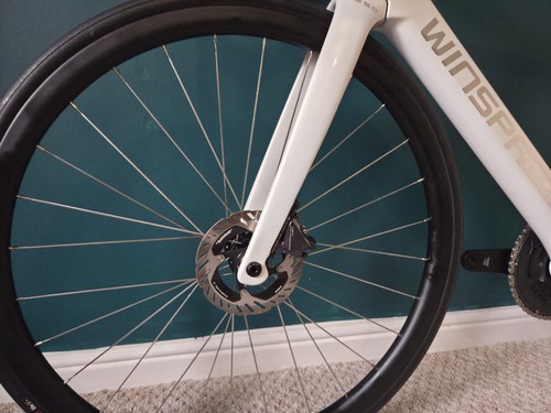 Spokesman carbon disc - spokesman,