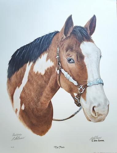 The pinto horse print don - horse, by