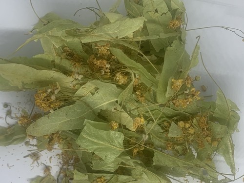 50g lime linden - 50g, flowers