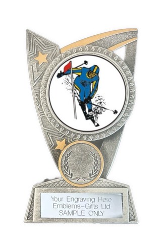 Slalom skiing award - award, (tr6)