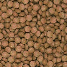 Tropical Supervit Tablet