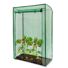 Outdoor garden tomato - garden, plant