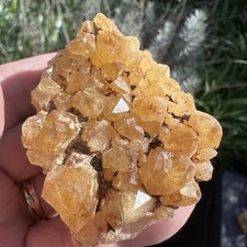 Citrine quartz crystal - citrine, cluster