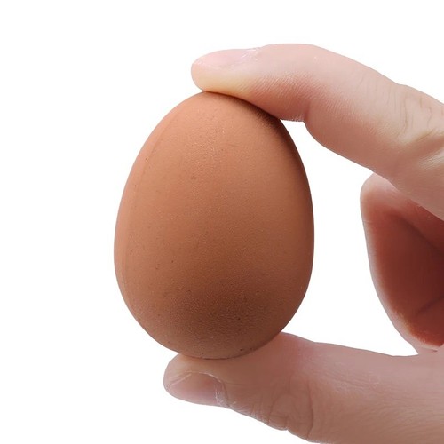 Realistic bouncy egg toy - bouncy,