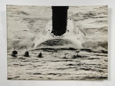 Dolphins Race Royal Navy