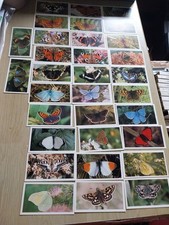 Grandee Cigar Cards British Buttflies Full Set  32 Cards