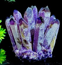 Large 266g | 80mm Beautiful One Of A Kind Stunning Purple Quartz Crystal Cluster