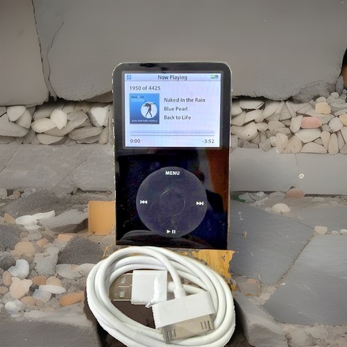 Apple ipod classic video - apple,