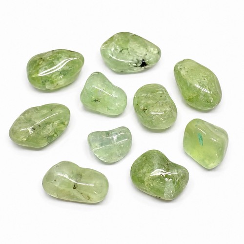 10x prehnite tumbled stones - prehnite,