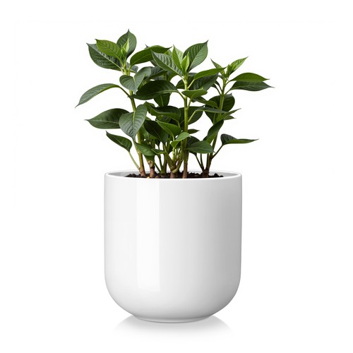 Vancasso 1pc 3pc ceramic - 1pc/3pc,
