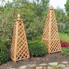 Primrose wooden garden - primrose,