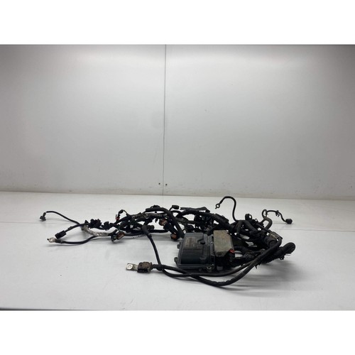 Ford focus engine - focus, &