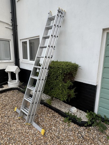 Lyte triple ladder multi - lyte,