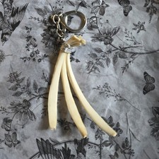 Taxidermy Beautiful Authentic