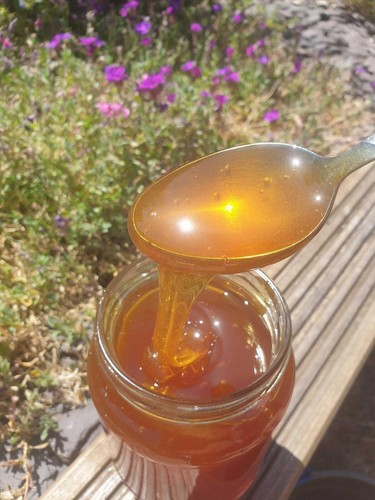 Wild mint honey 2025 new - mint,