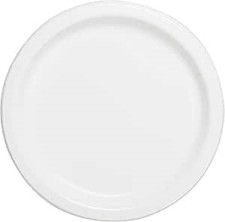 9" Disposable Paper Plates