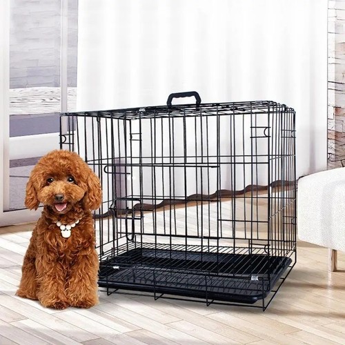 Dog cage puppy pet - dog,