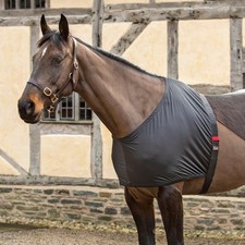 Shires Stretch Shoulder Guard/