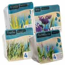 PREPACKED POND WATER PLANT KIT