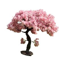 Cherry Tree Model Crafts