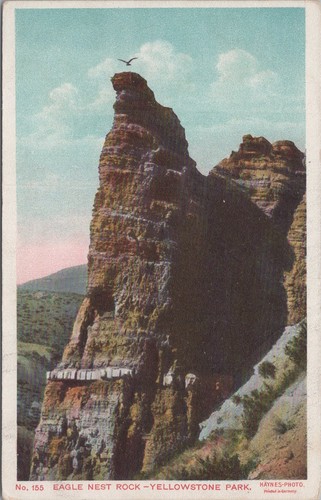 Eagle nest rock yellowstone - eagle,