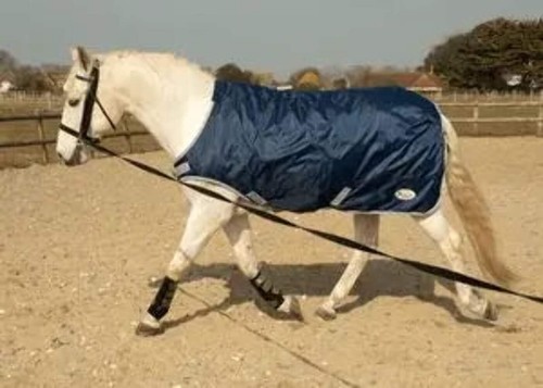 Rhinegold horsewalker lunge - horsewalker, /