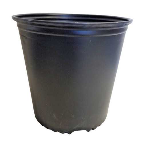 True gallon nursery - gallon,