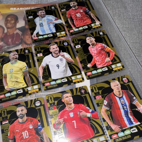 Panini adrenalyn world cup - adrenalyn,