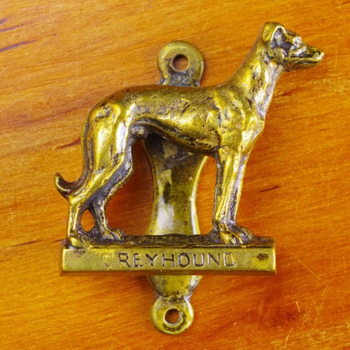Greyhound dog door - greyhound,
