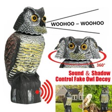 Realistic Owl Decoy Deterrent