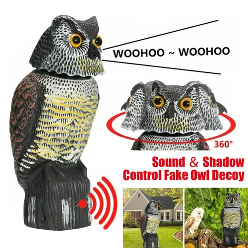 Realistic owl decoy deterrent - owl,