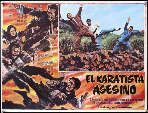 L654 el karatista - l654,