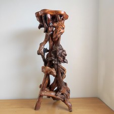Varnished Driftwood Root