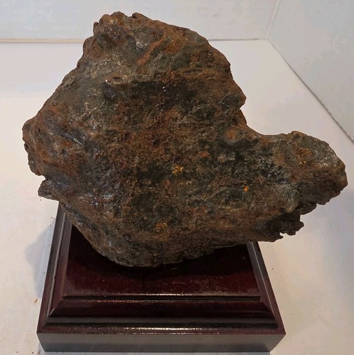 Very rare large whole - very,