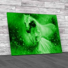 Girl With Horse The Beauty Of