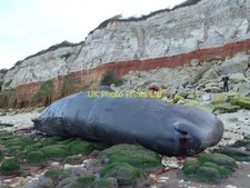 Photo 6x4 Burnholme Drive -