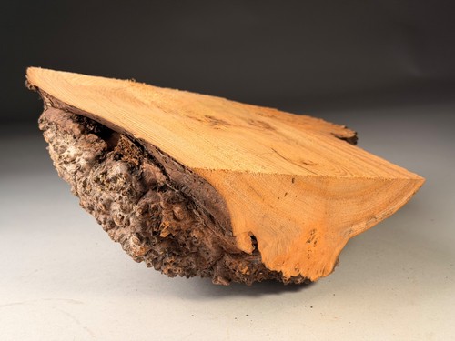 Cap burr elm live - live, edge
