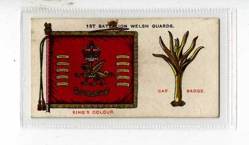 Wills regimental - (jj7669),